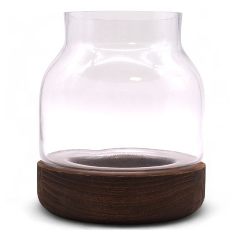 Medium Shaped Terrarium on Dark Tung Wood
