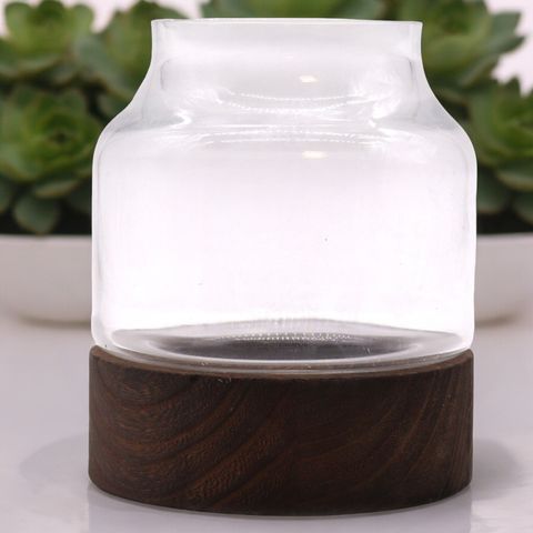 Medium Shaped Terrarium on Dark Tung Wood