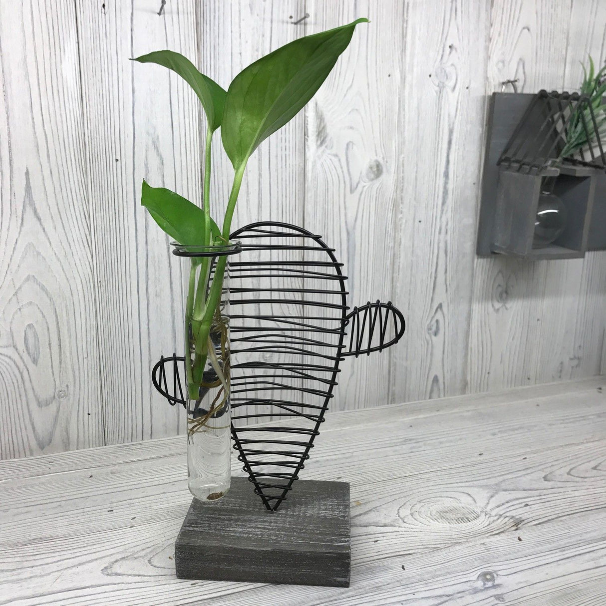 Hydroponic Home Decor Pots