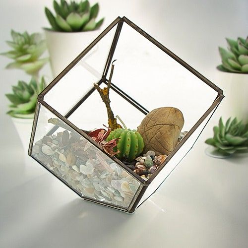 Glass Terrarium – Cube on Corner