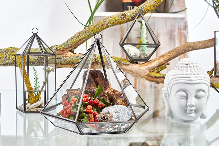 Glass Terrarium – Lantern Shape (Brass Frame, 20cm)