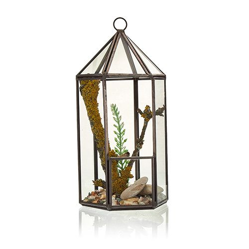 Glass Terrarium – Lantern Shape (Brass Frame, 20cm)