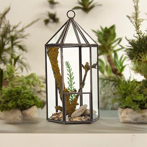 Glass Terrarium – Lantern Shape (Brass Frame, 20cm)