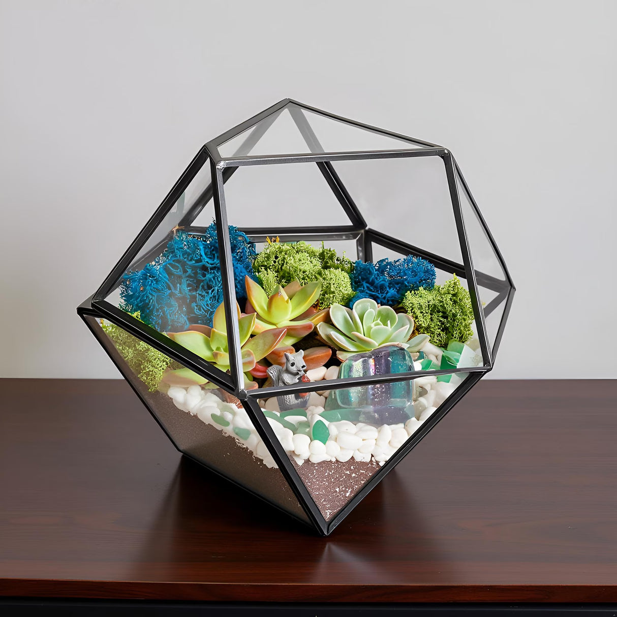 DIY Geometric Succulent Terrarium Kit: Live Plants, Crystals, Desk Decor