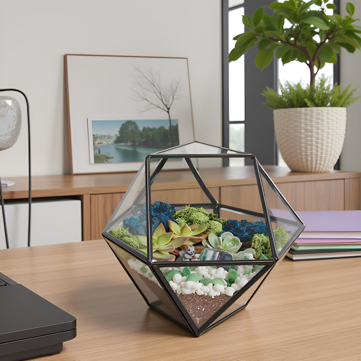 DIY Geometric Succulent Terrarium Kit: Live Plants, Crystals, Desk Decor