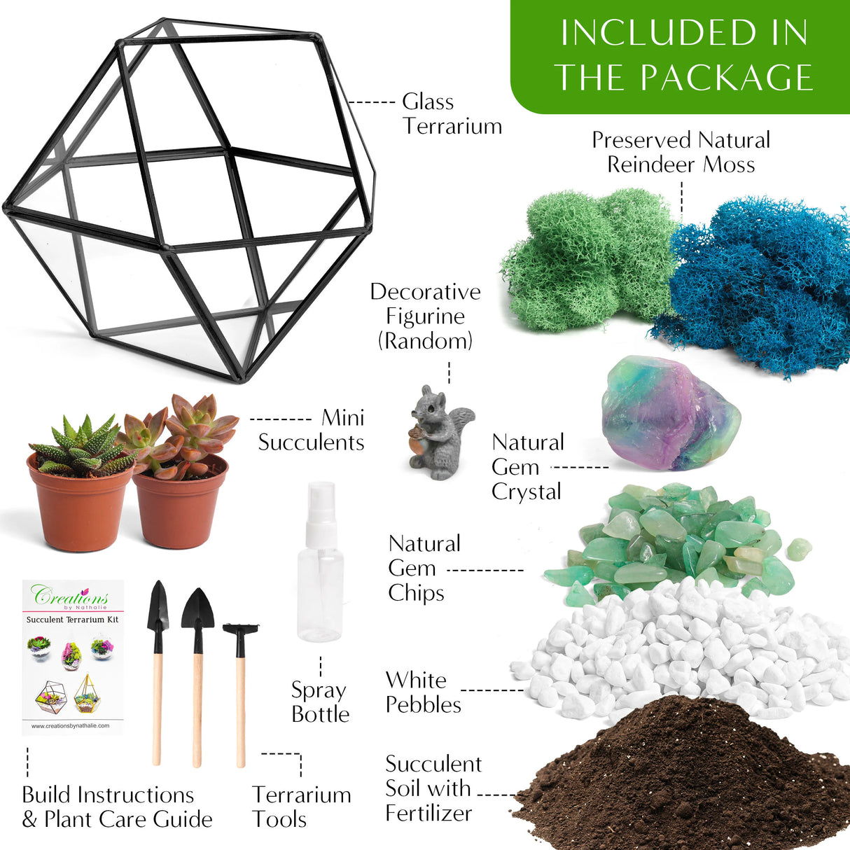 DIY Geometric Succulent Terrarium Kit: Live Plants, Crystals, Desk Decor