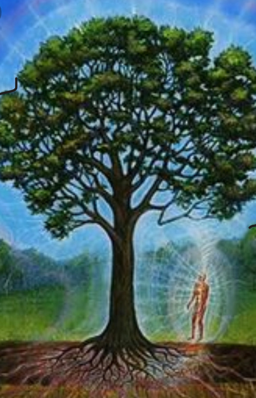 grounding - Earth - המכשף השכונתי 