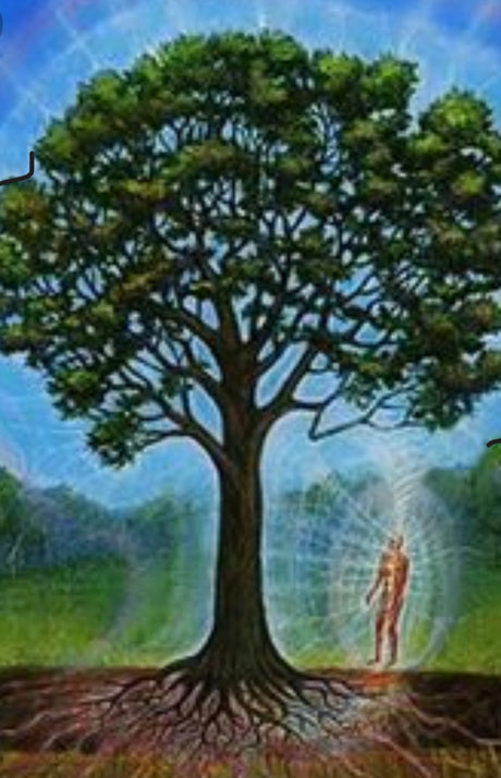 grounding - Earth - המכשף השכונתי 