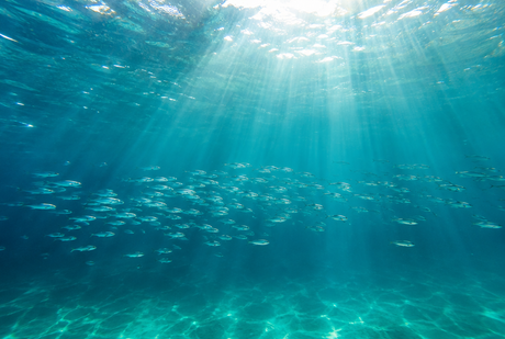Pisces 2027 Horoscope