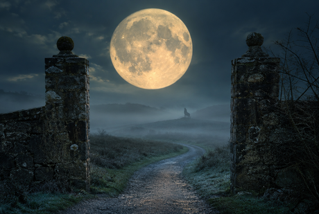 The Moon Tarot Card Meaning