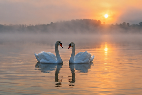 Angel Number 222: Meaning & Message