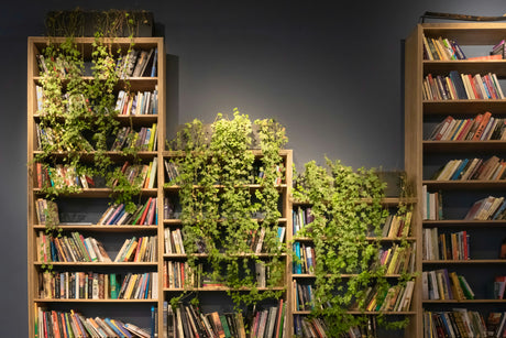 Books & Learning
