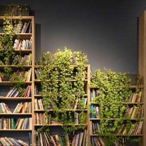 Self Help Books