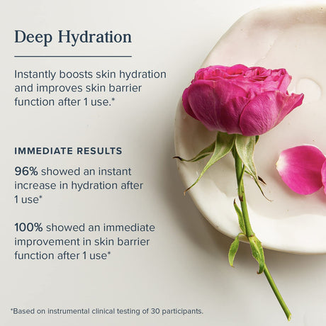 Rosewater Facial Toner with Hyaluronic Acid, Dry to Combination Skin Care, Hydrating Toner Refines Pores & Minimizes the Appearance of Fine Lines & Wrinkles, Alcohol Freeǂ, Vegan, 8Oz