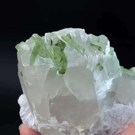 Green Tourmaline Crystals with Lepidolite on Quartz, Laghman, Afghanistan