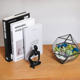 DIY Geometric Succulent Terrarium Kit: Live Plants, Crystals, Desk Decor