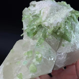 Green Tourmaline Crystals with Lepidolite on Quartz, Laghman, Afghanistan