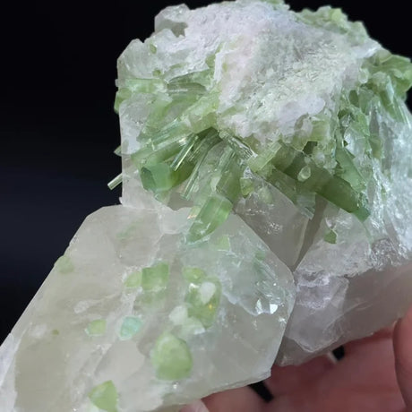 Green Tourmaline Crystals with Lepidolite on Quartz, Laghman, Afghanistan