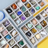 Acrylic Rock Collection Display Case – Collectibles, Crystals, Fossils Storage B