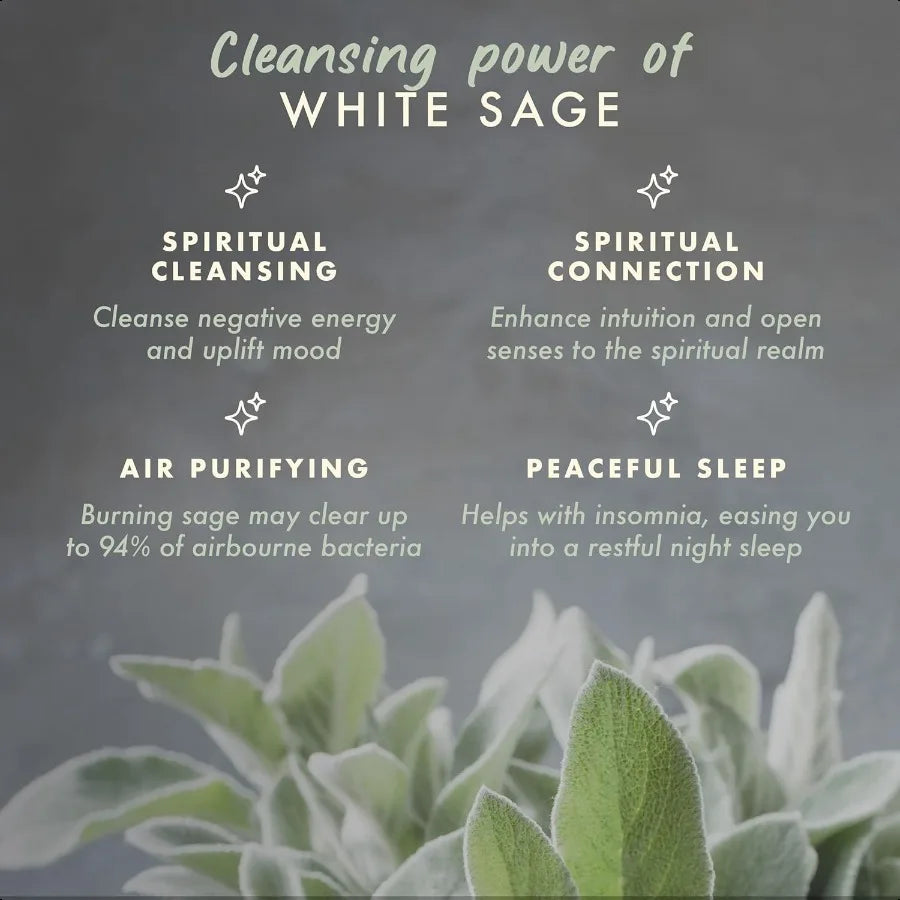 7oz White Sage Candle – Cleansing, Meditation, and Aromatherapy