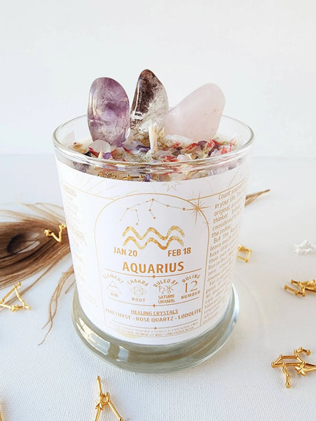 AQUARIUS Candle for Aquarius Gift Zodiac Candle with Dried Flower Candle Aquarius Crystals Astrology Candle Trendy Candle Herbal