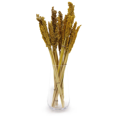Cantal Grass Bunch - Amber Dried Botanical Décor