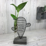 Hydroponic Home Decor Pots