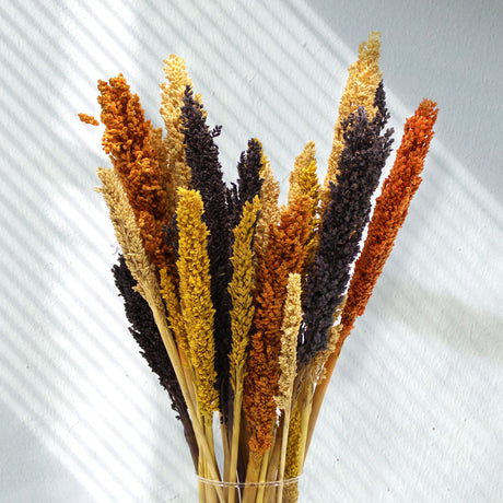 Cantal Grass Bunch - Black Dried Floral Accent | Natural Home Decor