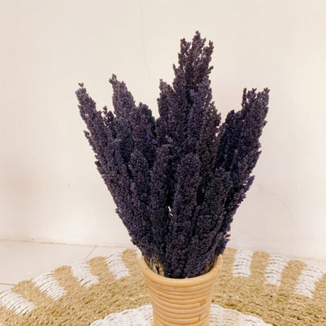 Cantal Grass Bunch - Black Dried Floral Accent | Natural Home Decor