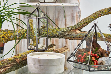 Glass Terrarium – Lantern Shape (Brass Frame, 20cm)