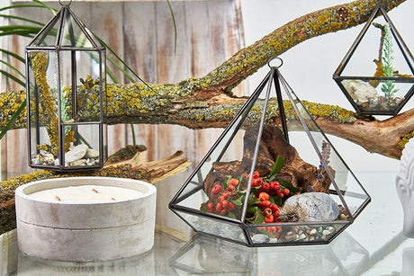 Glass Terrarium – Large Diamond Shape