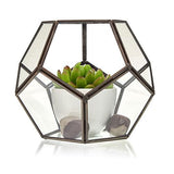 Glass Terrarium - Large Octagon