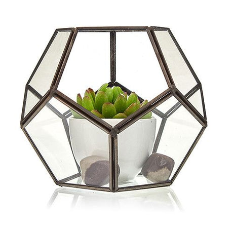 Large Octagon Glass Terrarium – Geometric Planter for Succulents