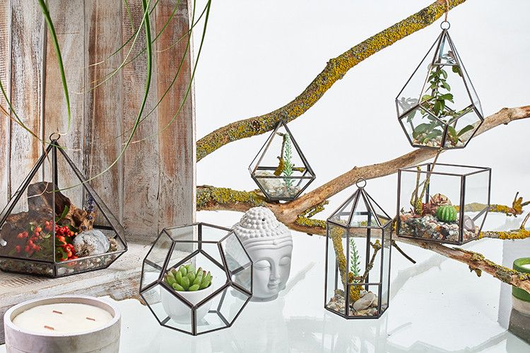Glass Terrarium – Cube on Corner