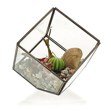 Geometric Glass Terrarium – Cube on Corner for Succulents & Air Plants
