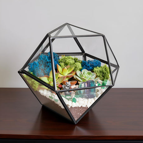 DIY Geometric Succulent Terrarium Kit: Live Plants, Crystals, Desk Decor