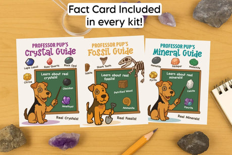 Real Crystal Discovery Kit for Kids: STEM Science & Learning Toy