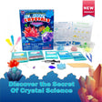 Big Bang Science - Crystal Growing Kit, Crystal Starter Kit, DIY Craft Kit Educational Toy, Sceince Toy, Boys Girls Birthday, Christmas Gift