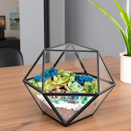 DIY Geometric Succulent Terrarium Kit: Live Plants, Crystals, Desk Decor