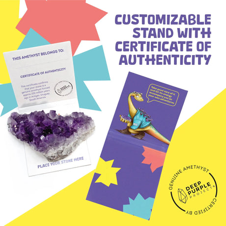 Amethyst Discovery Kit for Kids, Educational Crystal & Geology STEM Set, Gemstone for Children