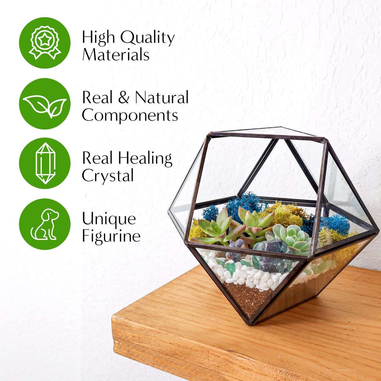 DIY Geometric Succulent Terrarium Kit: Live Plants, Crystals, Desk Decor