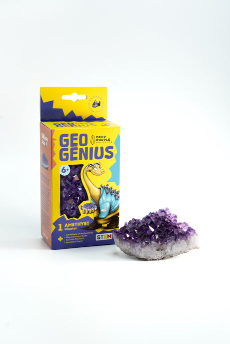 Amethyst Discovery Kit for Kids, Educational Crystal & Geology STEM Set, Gemstone for Children